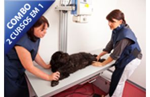 //www.cursoslivresead.com.br/radiologia-e-ultrassonografia-em-pequenos-animais-962/p