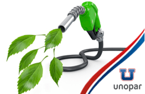 //www.cursoslivresead.com.br/biocombustiveis-e-biomassa/p