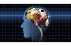 //www.cursoslivresead.com.br/introducao-a-psicologia-do-esporte-2412/p
